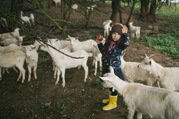 Little kids playing with goats on cheese farm outdoors