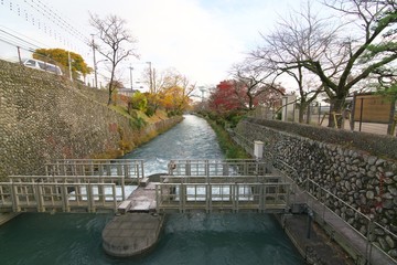 Flow of Tamagawa Josui near Hamura intake weir