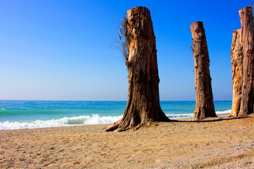 Beach. Summer beach view. Puerto Banus city, Marbella, Andalusia, Spain.