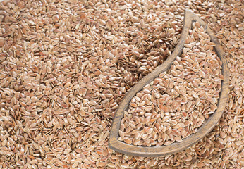 Flax seeds in the wooden bowl - Linum usitatissimum