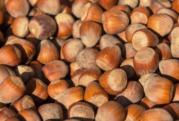 Fresh hazelnut in the market