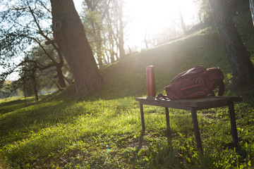 Hot tea thermos and backpack on a bench in early spring.  Behind trees.  The sun shines in the lens. Sunny day with  lens flare effect. Vintage filter effect. Hiking concept.