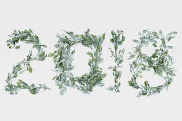 2018 made of green christmas garland plants and decoration, Flat lay
