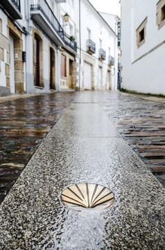 Camino de Santiago de Compostela. Golden yellow scallop shell on a wet street floor. Most famous pilgrimage route in Europe. Vertical caption