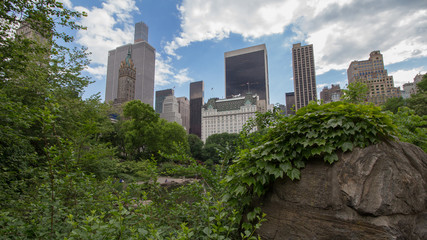 Fototapeta premium New York