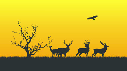 A Herd of Deer In The Savanna