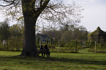 Elizabeth Park Twelve - Garden Bench