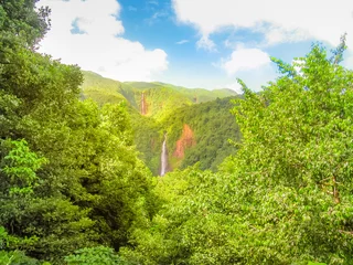 Poster de jardin Cascades Scenic landscape in tropical rainforest of Carbet Falls or Les Chutes du Carbet, on Carbet River, Guadeloupe island, Caribbean, French Antilles. The waterfalls are one of the most popular landmarks.  © bennymarty
