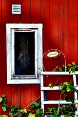 Self pirtrait