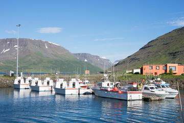 Hafen-/ Küsten-Landschaft in den Westfjorden, Island 