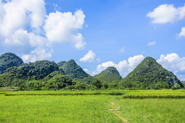 Beautiful countryside scenery in summer