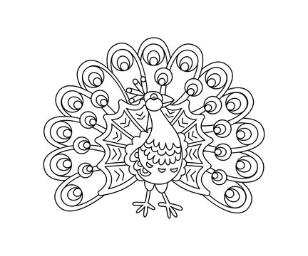 Vector Cute Cartoon Peacock