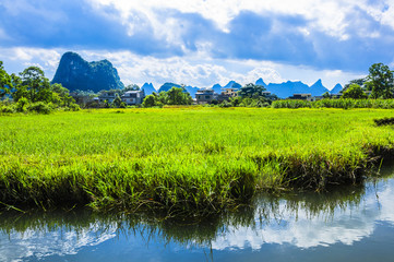 The beautiful countryside scenery in summer