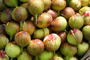 Fresh picked fig fruit background