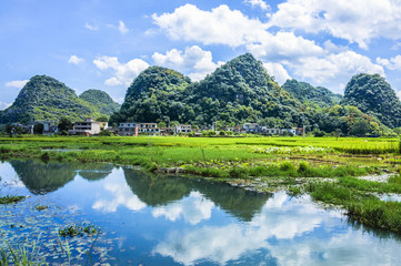 Fototapeta premium The beautiful countryside scenery in summer