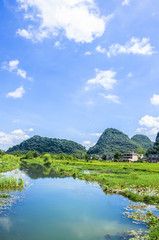 The beautiful countryside scenery in summer