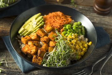 Healthy Organic Tofu and Rice Buddha Bowl