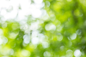 Fototapeta premium Colorful bokeh background