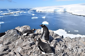 antartica © alvaroruiz.cl