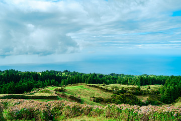 Fototapeta na wymiar Green landscape of Azores