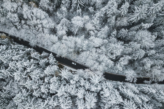 Aerial view of a road passing through snow covered forest