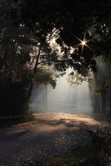 soft light © Kathy
