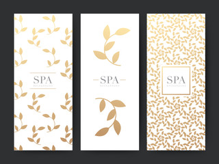 Branding Packageing leaf nature background, logo banner voucher, Gold leaves ornaments, vector illustration