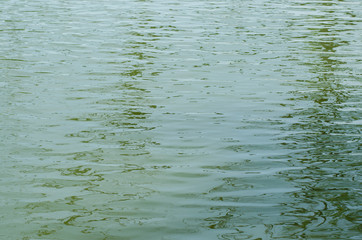 Ripple of Water for Background.