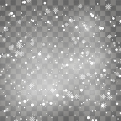 Falling snowflake on transparent background. Winter background. Vector