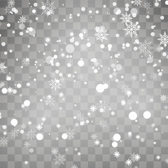 Falling snowflake on transparent background. Winter background. Vector