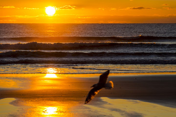 Obraz premium Sunrise - Mangawhai, New Zealand