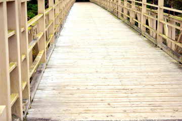 Obraz premium 秋の奥多摩 御岳小橋アップ