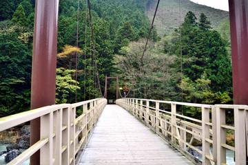 秋の奥多摩 御岳小橋