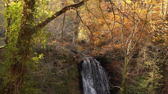 Falling Foss waterfall tilt down shot in autumn colored forest in North Yorkshire, England, UK