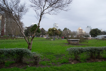 Plaza