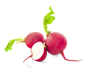 radish on white background