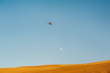 Fototapeta na wymiar A soaring aeroplane is over the sand dunes under the dusk