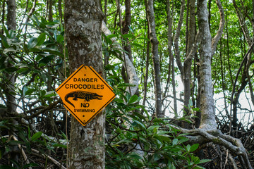 Danger crocodile no swimming sign with mangrove in the background