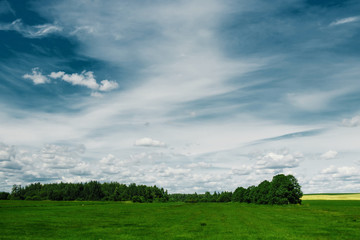 green field, blue sky, white clouds.