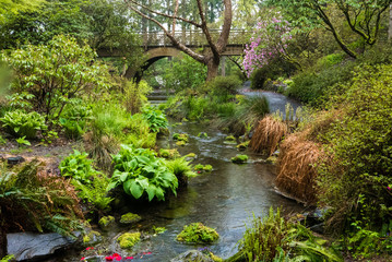 A wooden bridge and stream in Portland's Crystal Springs Rhodode