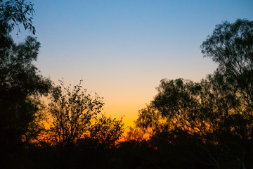 Sunset and tree silhouettes at Old Cork in rural Queensland