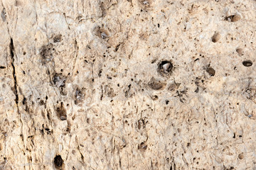 Graphic texture stone