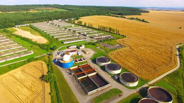 Camera flight over a biogas plant from pig farm in ripe wheat fields. Renewable energy from biomass. Summer on countryside. Modern agriculture in European Union. 