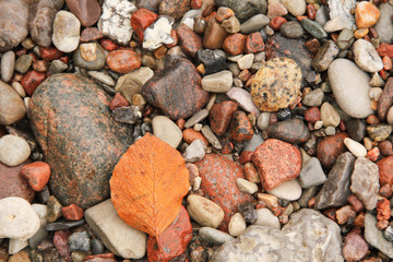 Steine Kiesel Blatt Herbst Laub Steine Strand Hintergrund