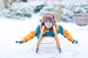 Little kid boy enjoying sleigh ride in winter