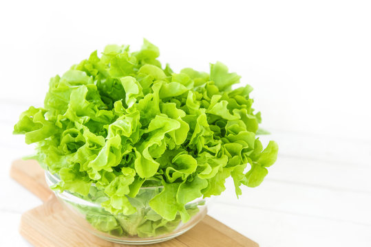 Fresh organic healthy green oak lettuce vegetable in a glass bowl