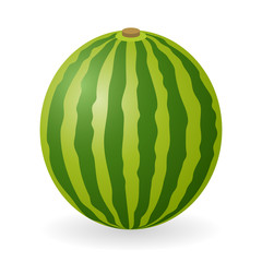 Vector illustration of watermelon isolated on white background