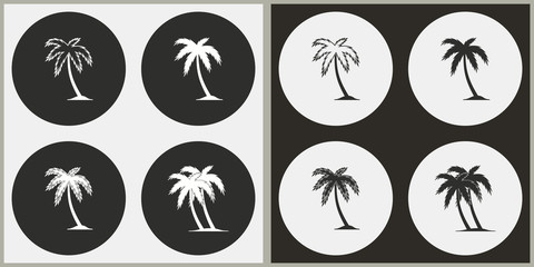 Fototapeta na wymiar Palm tree - vector icon.