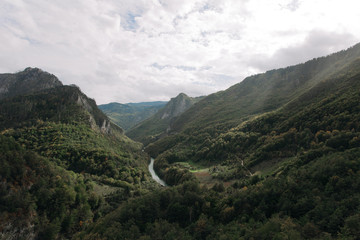 Fototapeta na wymiar Beautiful view over tara river in montenegro landscape