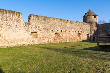 Fototapeta na wymiar Castle ruins in Pettingen